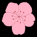 玲珑视频下载官方版APP应用