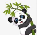 WWW,av538·COM网站APPAPP应用